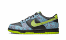 Dunk Low Acid Wash