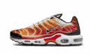 Air Max Plus Light Photographie