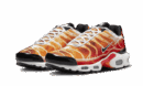 Air Max Plus Light Photographie