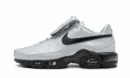 Air Max Plus Tiempo Wolf Grey