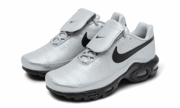 Air Max Plus Tiempo Wolf Grey - Image 2