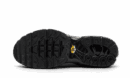 Air Max Plus Tiempo Wolf Grey