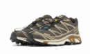 XT-6 Beluga Dull Gold