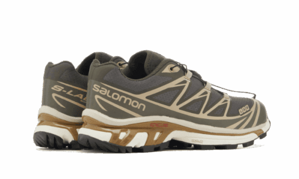 XT-6 Beluga Dull Gold - Image 3