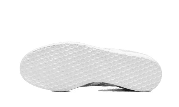 Gazelle Silver Dawn - immagine 6