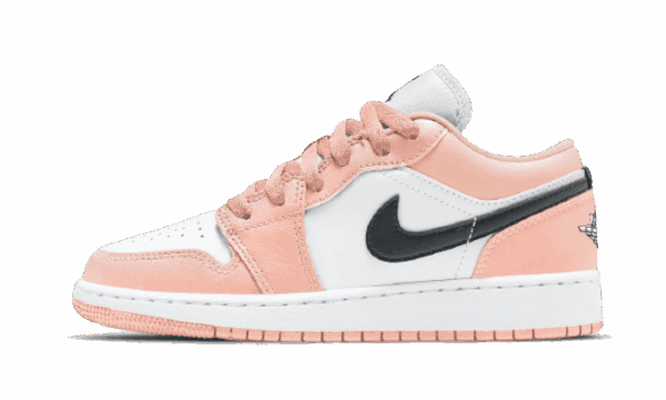 Air Jordan 1 Low Light Arctic Rose