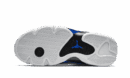 Air Jordan 14 Hyper Royal