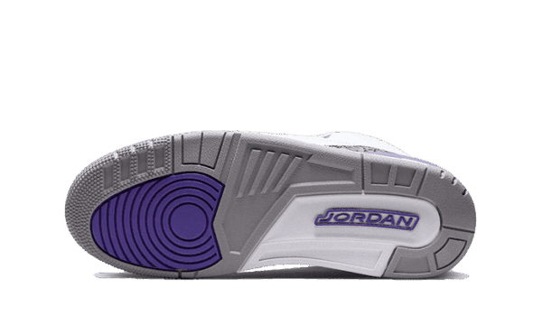 Air Jordan 3 Dark Iris - immagine 3