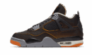 Air Jordan 4 SE Starfish
