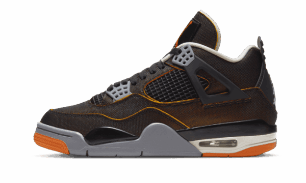 Air Jordan 4 SE Starfish