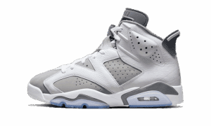 Air Jordan 6 Gris frío