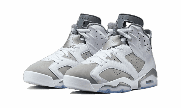 Air Jordan 6 Cool Grey - Image 2
