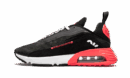 Air Max 2090 Duck Camo