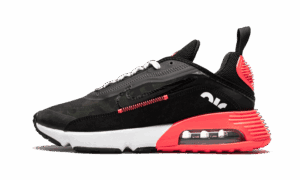 Air Max 2090 Ente Tarnfarbe