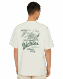 Raven T-Shirt Cloud