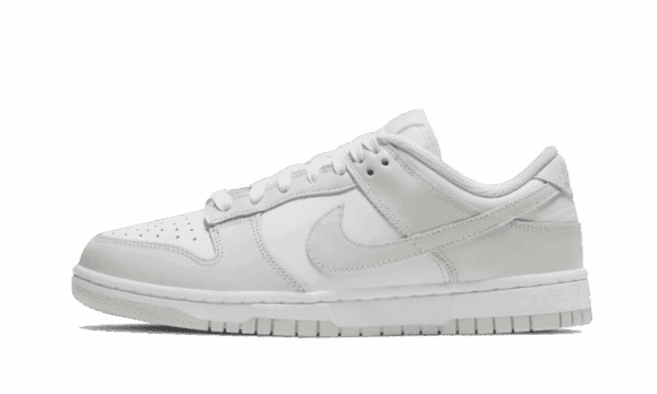 Dunk Polvere di fotoni bassa