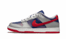 Dunk Low Samba (2020)