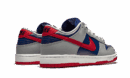 Dunk Low Samba (2020)