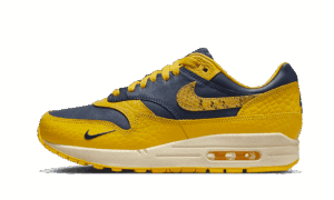 Air Max 1 CO.JP Michigan
