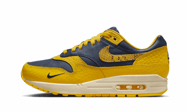 Air Max 1 CO.JP Michigan