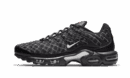 Air Max Plus France