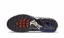 Air Max Plus France