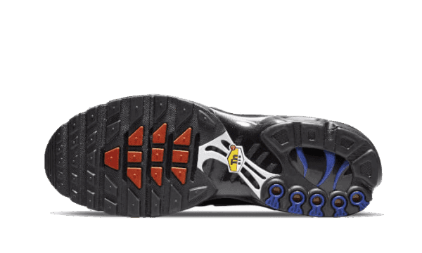 Air Max Plus France - Image 3