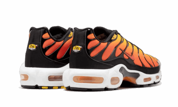 Air Max Plus Sunset (2024) - Image 3