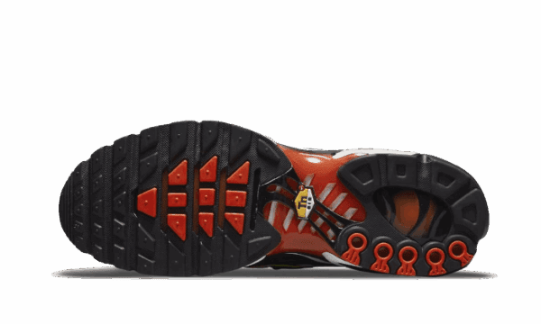 Air Max Plus Sunset Gradient - Image 3