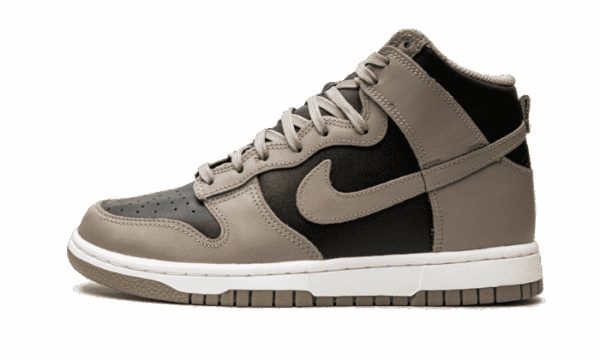 Dunk High Moon Fossil