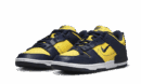 Dunk Low Disrupt 2 Michigan