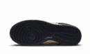 Dunk Low Disrupt 2 Michigan