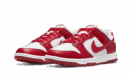 Dunk Low Next Nature Gym Red