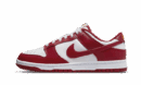 Dunk Low USC
