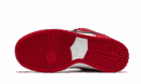 SB Dunk Low Pro Chicago