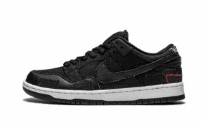 SB Dunk Low Wasted Youth