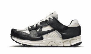 Zoom Vomero 5 Panda senza tempo Dunk