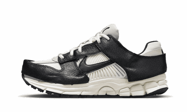 Zoom Vomero 5 Panda senza tempo Dunk