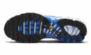 Air Max Plus Light Photography Old Royal