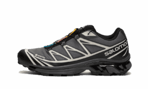 XT-6 Gore-Tex Noir Lunar Rock