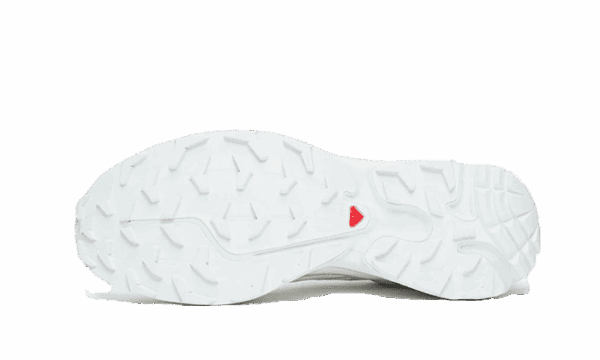 XT-6 White Lunar Rock - Image 3
