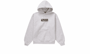 Box Logo Hooded Sweatshirt (FW23) Ash Grey