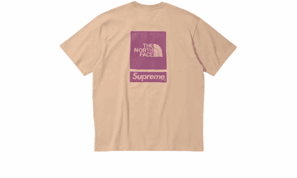 The North Face T-Shirt The North Face Beige (SS24) - Image 2