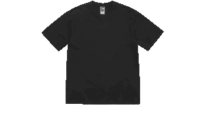 Camiseta The North Face The North Face Negra (SS24)