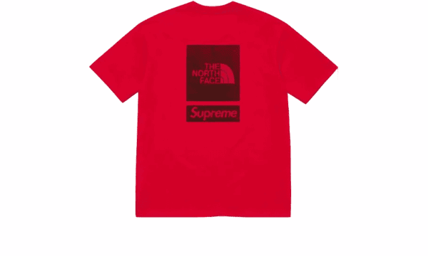The North Face T-Shirt The North Face Red (SS24) - immagine 2
