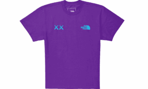KAWS Tee Gravity Lila