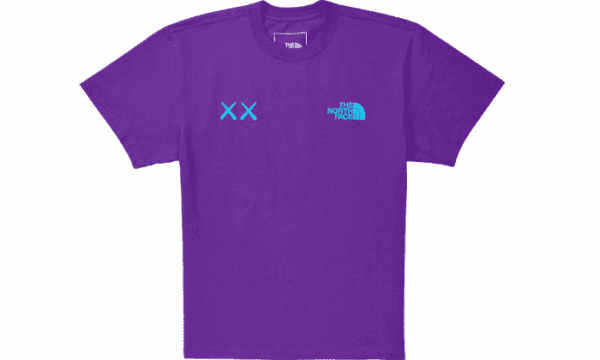 KAWS Tee Gravity Lila