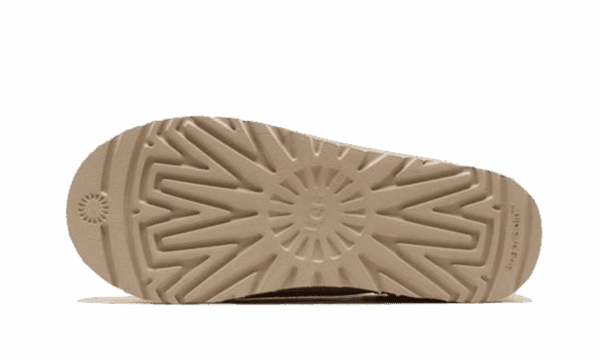 Tasman Slipper Mustard Seed - immagine 4