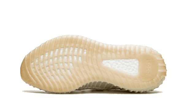Yeezy Boost 350 V2 Light - Image 4