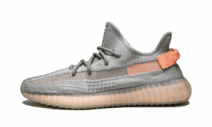 Yeezy Boost 350 V2 True Form